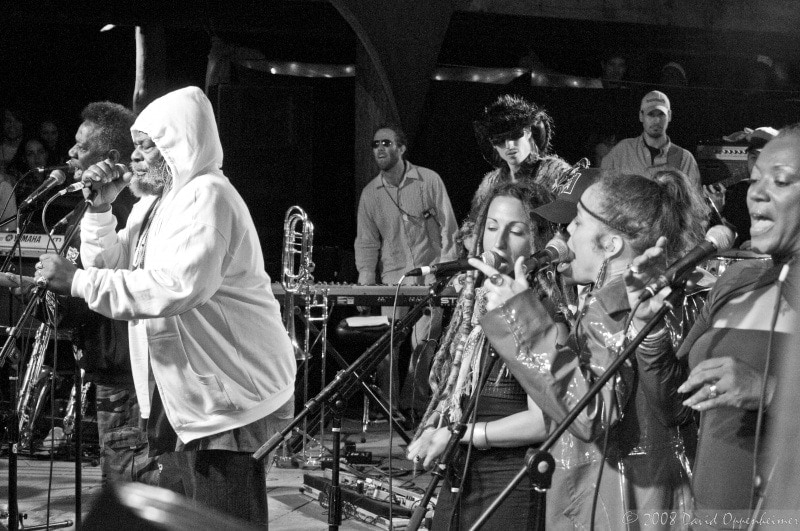 george clinton with the big ol' nasty at loki festival
